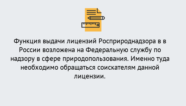 Почему нужно обратиться к нам? Арсеньев Лицензия Росприроднадзора. Под ключ! в Арсеньев