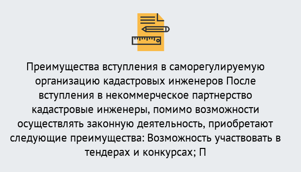 Почему нужно обратиться к нам? Арсеньев Что дает допуск СРО кадастровых инженеров?