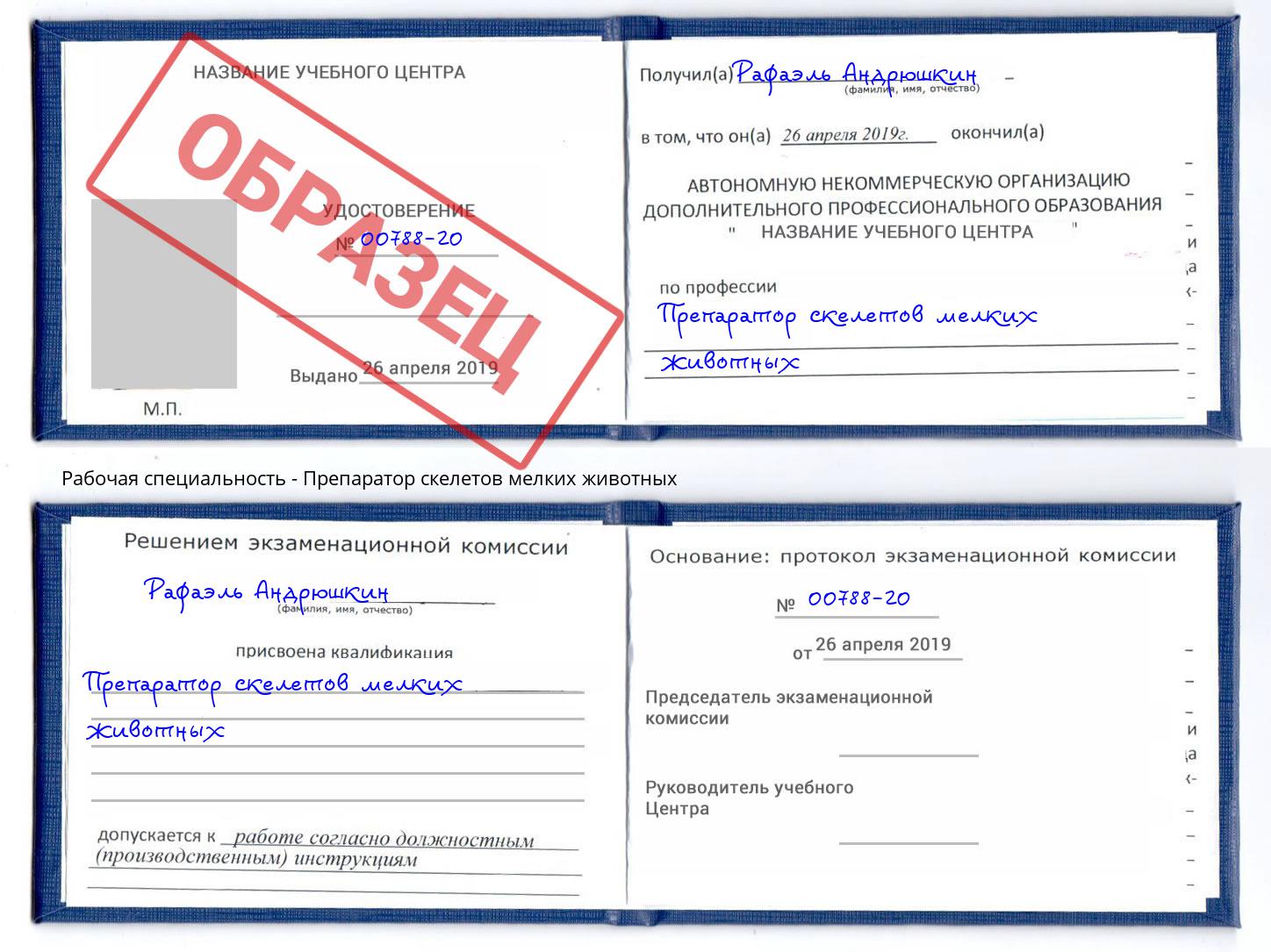 Препаратор скелетов мелких животных Арсеньев