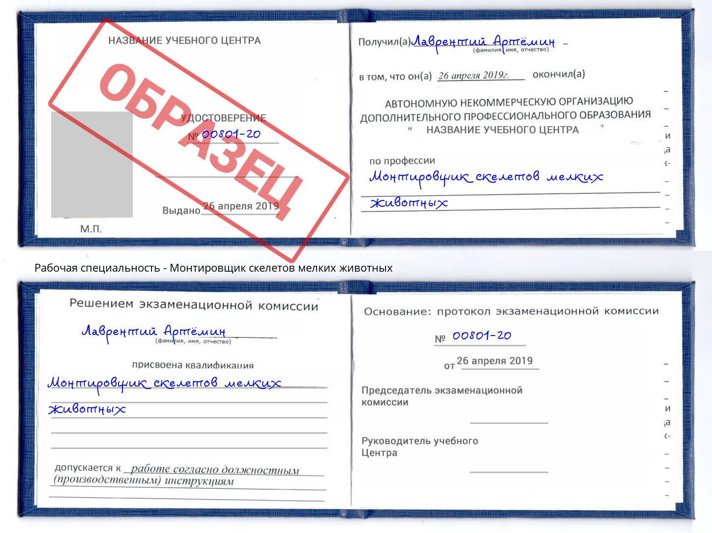 Монтировщик скелетов мелких животных Арсеньев