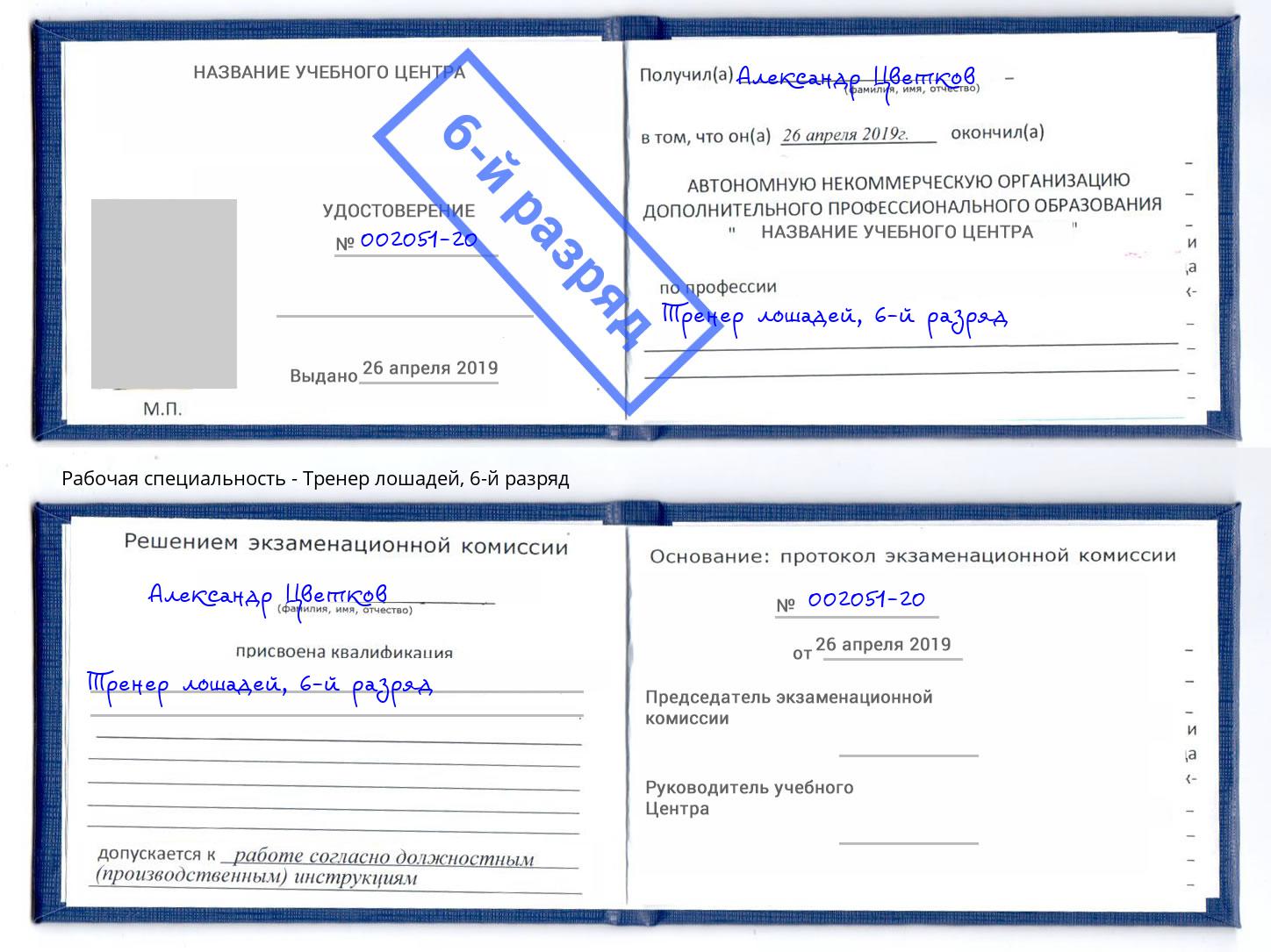 корочка 6-й разряд Тренер лошадей Арсеньев