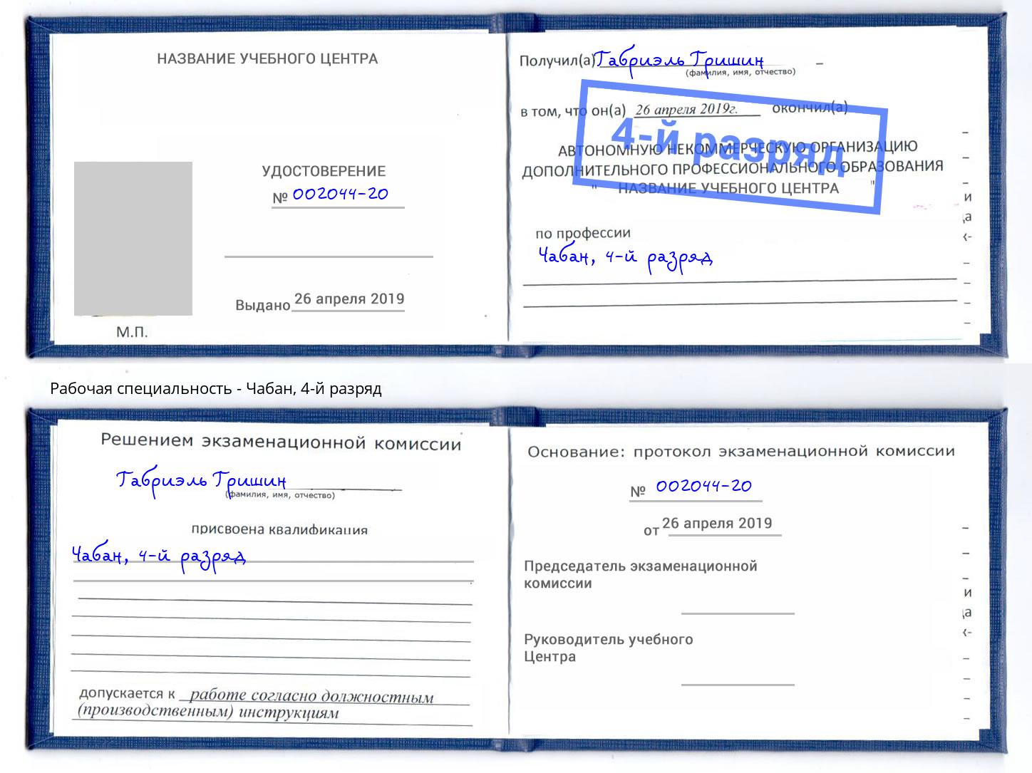 корочка 4-й разряд Чабан Арсеньев