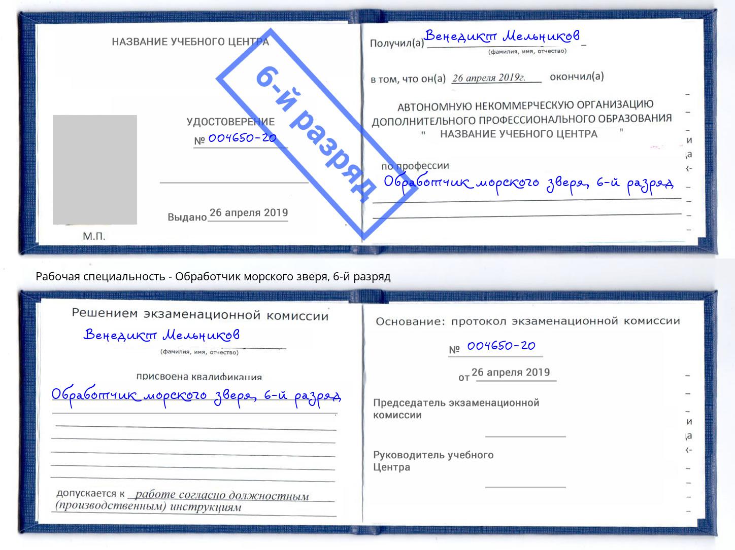 корочка 6-й разряд Обработчик морского зверя Арсеньев