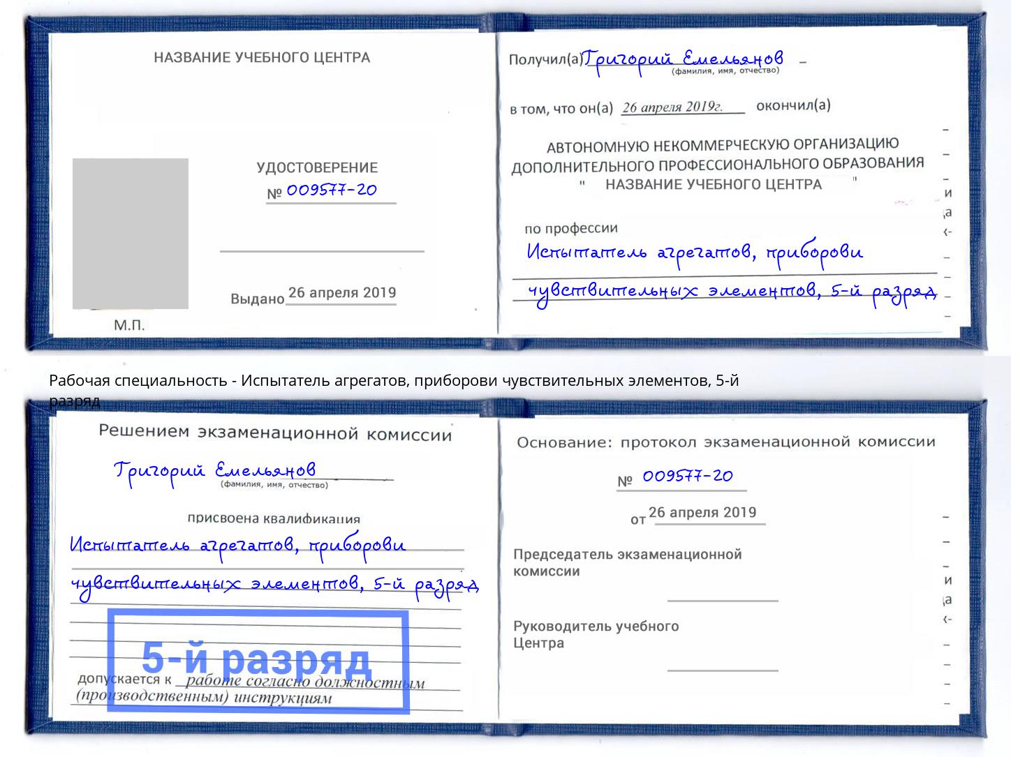 корочка 5-й разряд Испытатель агрегатов, приборови чувствительных элементов Арсеньев