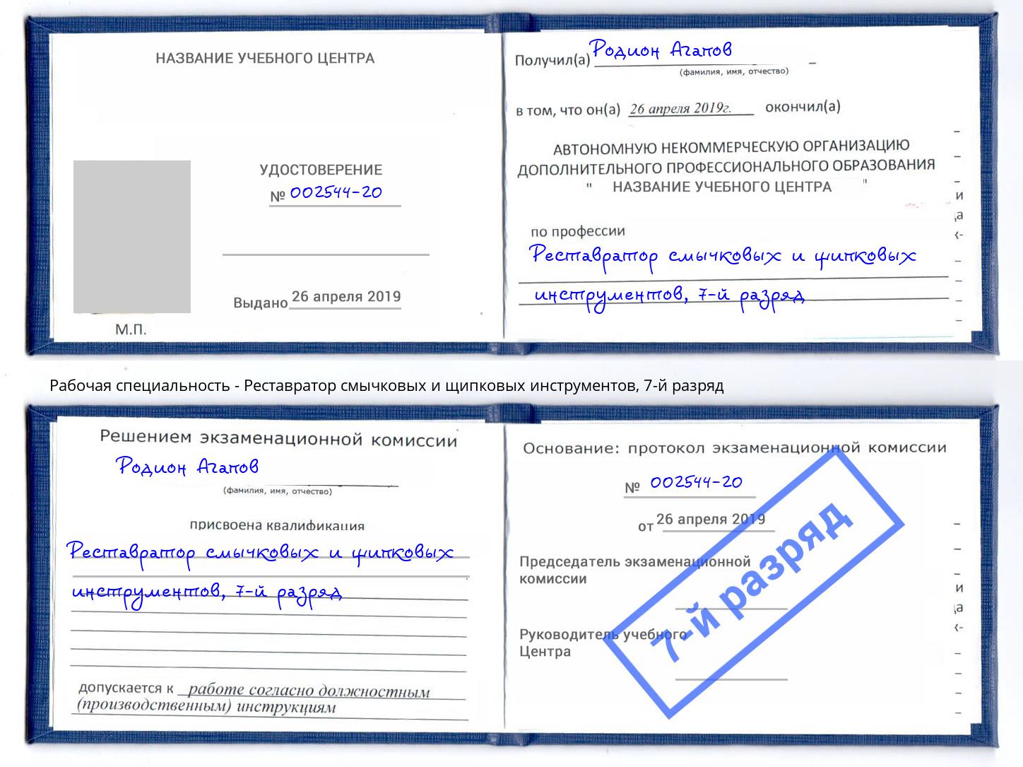 корочка 7-й разряд Реставратор смычковых и щипковых инструментов Арсеньев